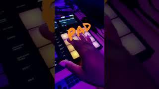 Maschine MK3 Making a Lofi Beat (PAD)