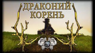 Готика 3 - сбор редких трав: ДРАКОНИЙ КОРЕНЬ [ГАЙД] | Паша Водяной