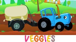 VEGGIES - Blue Tractor - Kids Songs & Cartoons