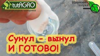 5 СЕКУНД - И ГОТОВО! 4 СПОСОБА БЫСТРОЙ и ДЕШЕВОЙ ПОДГОТОВКИ СЕМЯН К ПОСЕВУ. Доступно абсолютно всем!