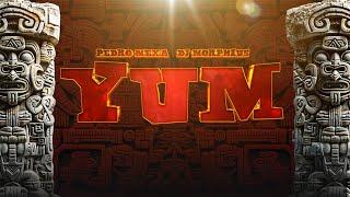 YUM | TRIBAL Dj Morphius | GUARACHA  PREHISPANIC  Pedro Mexa  Sonidos Mayas