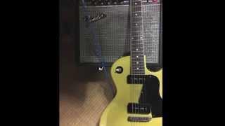 Fender 75' vibro champ (silverface) & lespaul special