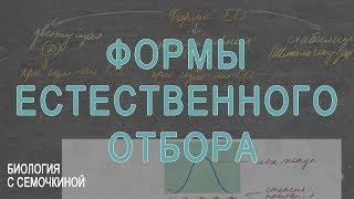 Формы естественного отбора