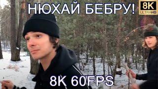 НЮХАЙ БЕБРУ 8K 60FPS (УЛУЧШЕННЫЙ МЕМ)