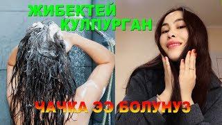 Чачты Кантип Өстүрсө Болот? ‍️ Чачка кантип туура кам көрөбүз? ‍️ Чачты остуруучу‍️