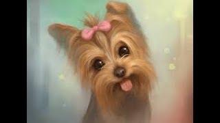 Как нарисовать йоркширского терьера!  How to draw a Yorkshire terrier!