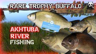 Russian Fishing 4 RF4 Akhtuba River| RARE TROPHY AND OTHER FISH