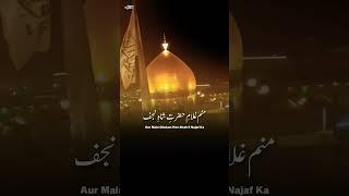 Rah E Najaf | Path Of Najaf | Sajjad Muhammadi | Noha Short Stutu