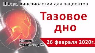 #6 Школа Кинезиологии 26 февраля 2020г. Тазовое дно.