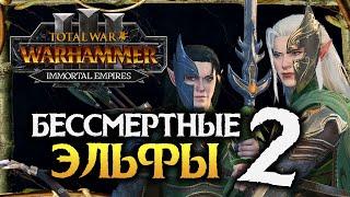 Бессмертные Империи и Лесные Эльфы в Total War Warhammer 3 Immortal Empires - #2