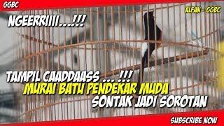 Nnggeerrriiii ... !!! TAMPIL CADAS MURAI BATU PENDEKAR MUDA SONTAK JADI SOROTAN