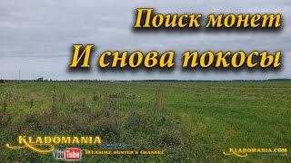 Поиск монет на скошенном поле. И снова покосы. Продолжаю поиск монет на скошенном поле