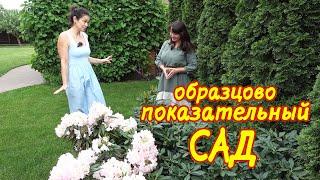 Идеальный КОТТЕДЖНЫЙ САД своими руками за 10 лет! Стильный сад в стиле МИНИМАЛИЗМ.