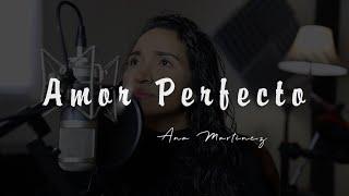 Amor Perfecto | COVER | Ana Martínez