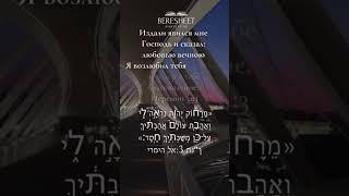 Pray for Israel day 40 #pentecostal #israelwar #beresheet #חרבותברזל#עםישראלחיי #goodnessofgod