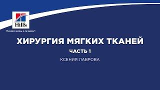 Вебинар на тему: “Хирургия мягких тканей”. Часть 1. Лектор - Ксения Лаврова.