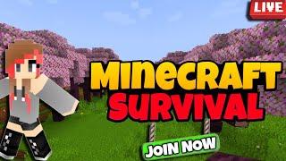 MINECRAFT PUBLIC SMP LIVE | JAVA / BEDROCK 24/7 LIVE SERVER #minecraft #live #shortsfeed  #smp