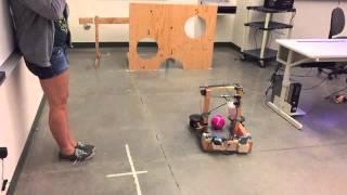 Soccer Ball Kicking Robot