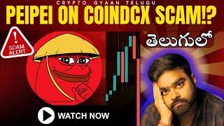 PEIPEI ON COINDCX SCAM!? || DON'T BUY IT ON COINDCX || TELUGU||