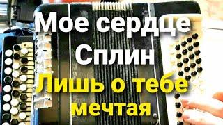 Моё сердце Сплин и Лишь о тебе  мечтая руки вверх разборы на баяне