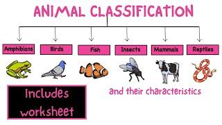 Animal classification. Science for kids - My pals are here!