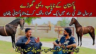 I Experienced the Most Beautiful Desi Horses of Pakistan at Khan Stud Farm