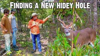 Scouting for the Perfect Hidey Hole Food Plot