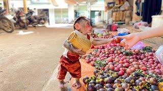 Monkey Cubis goes to the market to buy breakfast with Dad!