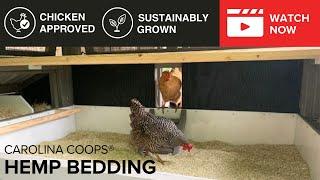 Carolina Coops Hemp Bedding- The Most Absorbent Hemp Bedding on the Market