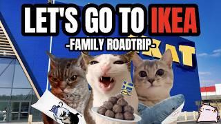 CAT MEMES: LET'S GO TO IKEA FULL EPISODE