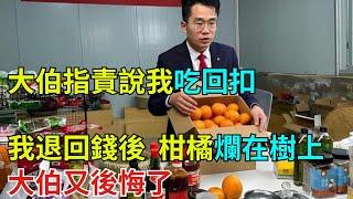大伯指責說我吃回扣，我退回錢後，柑橘爛在樹上，大伯又後悔了【奇聞奇談錄】#事件#熱點#奇聞#案件#真相#揭秘#故事#案件解讀