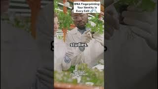 DNA Fingerprinting: Your Identity in Every Cell!  | Biotic World