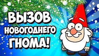 ВЫЗОВ НОВОГОДНИХ ДУХОВ