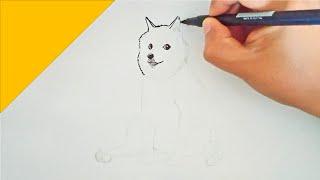 How to use ink brush to draw Shiba Inu