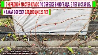  Обрезка винограда 6 год. Эти ДВА ПРОСТЫХ ПРИЕМА помогут обрезать ЛЮБОЙ куст винограда!