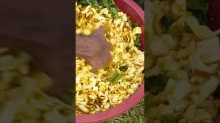 Delicious Jackfruit Mallum Cooking#jackfruit #jackfruitcutting #village #traditionalcooking #short