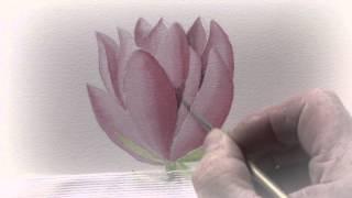 A-Z of Botanical Flowers in Watercolour Paint with Artist Michael Lakin -  DVD Trailer