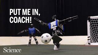 Soccer-playing robots teach themselves to score