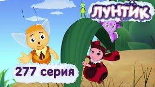 Лунтик и его друзья - 277 серия. Проучили