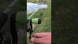 Good fish caught in neighborhood pond ￼