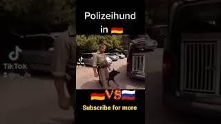 #russland #shorts #deutschland #tiktok #spaß