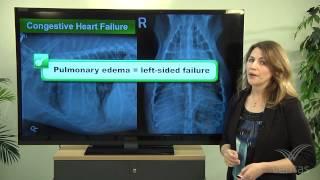 Educational Presentation - Canine Radiograph Interpretation