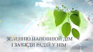 Дуже гарне привітання з Зеленими святами Вітання з Трійцею #трійця #зеленісвята #привітання #вітання