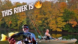 The Fall Bite is On !!!  Epic Stretch of River in Southern Ohio  #smallmouthbass #tightlines