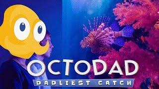 Octodad: Dadliest Catch - Взлом Света