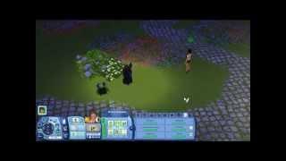 sims 3 секретные коды