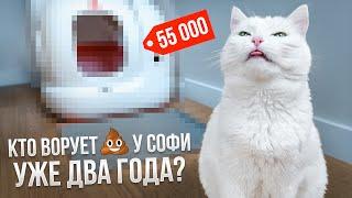 PURA MAX Petkit: ОБЗОР НА АВТОМАТИЧЕСКИЙ ЛОТОК / КАК МЫ ЖИЛИ БЕЗ НЕГО?