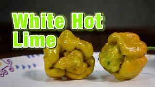 White Hot Lime - 2019 pepper reviews