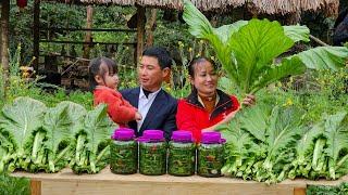 Harvesting the Vegetable Garden & Making Crunchy Pickles at Home | Lý Phúc An
