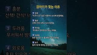 강아지가 짖는 이유 #강아지  #명상 #명언 #삶 #삶의지혜 #좋은글 #좋은글귀 #인생 #인생명언 #인생조언 #아침 #아침묵상 #건강 #철학 #부자 #자기계발 #영어 #학습